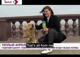 حمله یک سگ به کارشناس هواشناسی در پخش زنده شبکه تلوزیونی روسیه