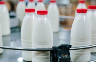 واعظی خبر افزایش قیمت شیر را تکذیب کرد