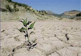 ۸۶ درصد کشور درگیر خشکسالی است!