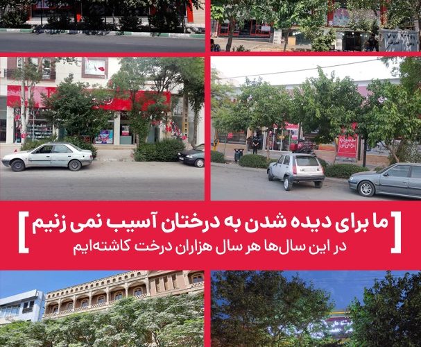 توضیحات مسئولان در خصوص قطع درختان خیابان معلم یاسوج