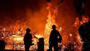 آتش سوزی در مناطق جنگلی غرب آمریکا هزاران نفر را سرگردان کرد