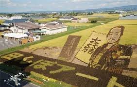 هنرنمايی کشاورزان ژاپنی با مزارع برنج