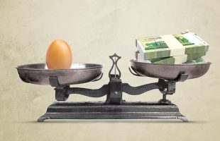 دلیل افزایش قیمت اخیر تخم‌مرغ چیست؟