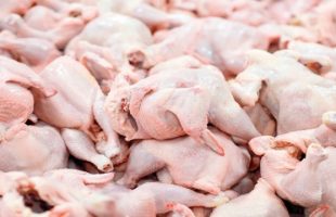 اصلاح قیمت مرغ در راستای افزایش نرخ مولفه‌های تولید است