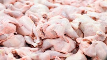 اصلاح قیمت مرغ در راستای افزایش نرخ مولفه‌های تولید است