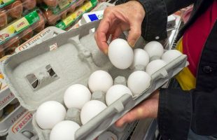 کاهش ۴ هزار تومانی قیمت تخم مرغ در میادین تره بار