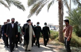 رئیس جمهور در نخلستان‌های استان بوشهر