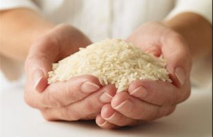 توزیع برنج ایرانی بدون دریافت هزینه ارسال