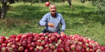 با خرید سیب از کشاورزان ایرانی حمایت کنیم