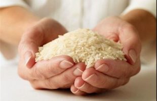 واکنش رئیس سازمان حمایت مصرف کنندگان و تولیدکنندگان به گرانی و قیمت سرسام آور گوشت و برنج