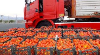 گوجه ،سیب زمینی،پیاز و بادمجان ممنوع الخروج شدند