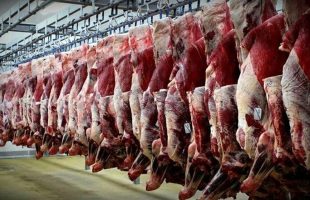 طی روزهای آینده قیمت گوشت قرمز به قیمت‌های قبل بر می‌گردد