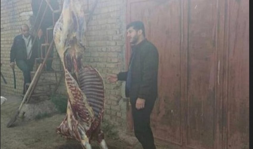 کشف لاشه اسب کشتار شده قبل از ورود به سفره مردم