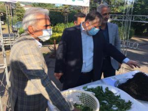 آیین گرامیداشت روز جهانی چای برگزار شد