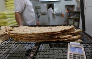 استاندار تهران: هیچگونه برنامه‌ای برای افزایش قیمت نان نداریم