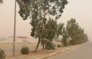ورود موج جدید گرد و غبار به عراق