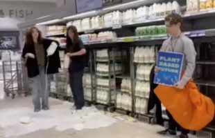 حرکت عجیب دو دختر جوان در یک فروشگاه با بطری‌های شیر!