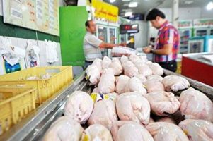 قیمت مرغ به ۴۸ هزار تومان رسید