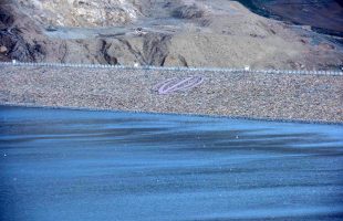 آب کانی‌سیب به دریاچه ارومیه رسید
