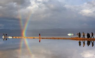 حال خوب دریاچه مهارلو بعد از بارندگی‌ها