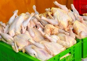 افزایش تولید مرغ تا رسیدن به میزان تقاضا