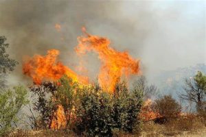 حضور پررنگ زنان در مهار آتش سوزی ارتفاعات منطقه هورامان
