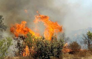 حضور پررنگ زنان در مهار آتش سوزی ارتفاعات منطقه هورامان