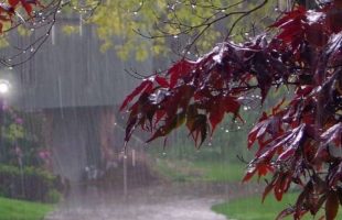 هواشناسی: پاییزِ امسال در کل کشور باید منتظر بارش‌های خوبی باشیم
