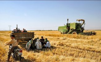 رییس جمهور : حق و حقوق گندم‌کاران به‌سرعت پرداخت شود