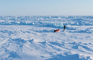 کشف آلاینده کرم ضدآفتاب در قطب شمال!
