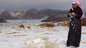 بارش برف در طائف عربستان