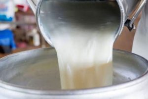 ابلاغ قیمت جدید شیرخام