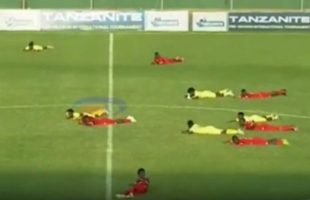 زنبورها بازی فوتبال را در تانزانیا متوقف کردند