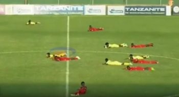 زنبورها بازی فوتبال را در تانزانیا متوقف کردند