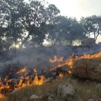 معاون عمرانی استانداری گلستان از پایان عملیات آتش سوزی در ۷ جنگل استان گلستان خبر داد