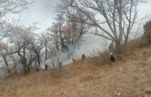 پرواز دو فروند ایلیوشین ۷۶ نیروی هوافضای سپاه به سمت جنگل الیت چالوس