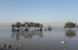 دریاچه فصلی خنج با بارش رحمت الهی پس از ۴ سال پر آب شد