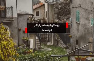 روستا در دست گربه‌ها