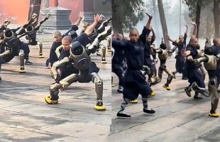 ویدئوی تمرین کونگ‌فوی ربات‌های انسان‌نما با راهبان معبد شائولین